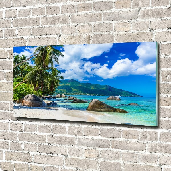 Quadro in verde Spiaggia delle Seychelles