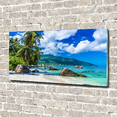 Quadro in verde Spiaggia delle Seychelles