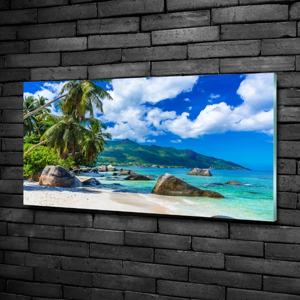 Quadro in verde Spiaggia delle Seychelles