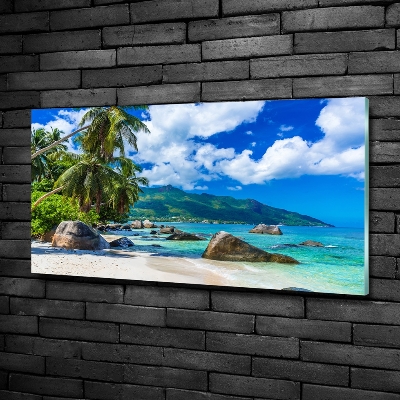 Quadro in verde Spiaggia delle Seychelles