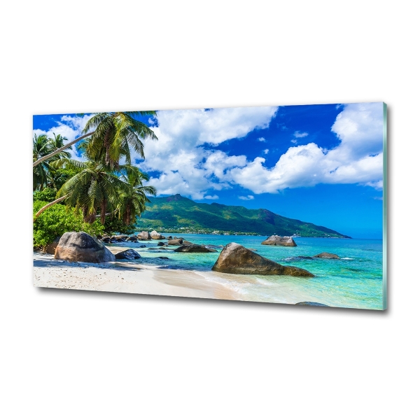 Quadro in verde Spiaggia delle Seychelles