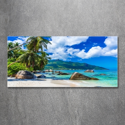 Quadro in verde Spiaggia delle Seychelles