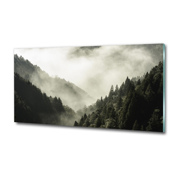 Quadro in vetro Nebbia sulla foresta
