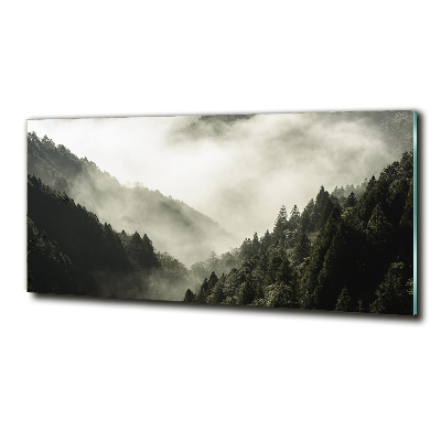 Quadro in vetro Nebbia sulla foresta