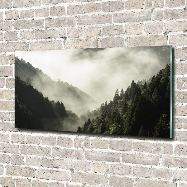 Quadro in vetro Nebbia sulla foresta
