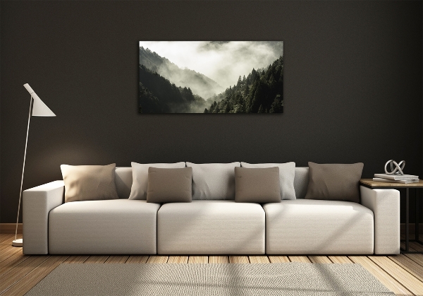 Quadro in vetro Nebbia sulla foresta