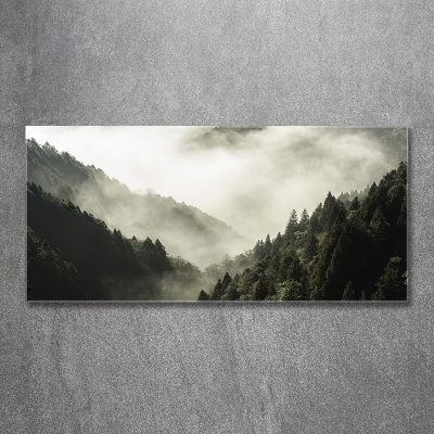 Quadro in vetro Nebbia sulla foresta