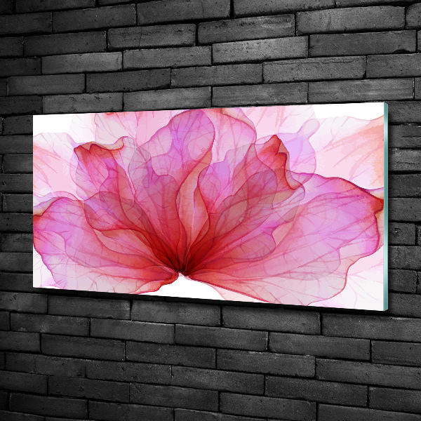 Quadro su vetro Fiore rosa