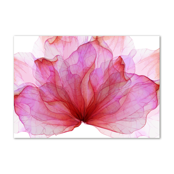 Quadro su vetro Fiore rosa