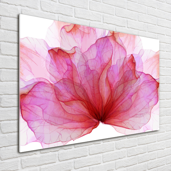 Quadro su vetro Fiore rosa