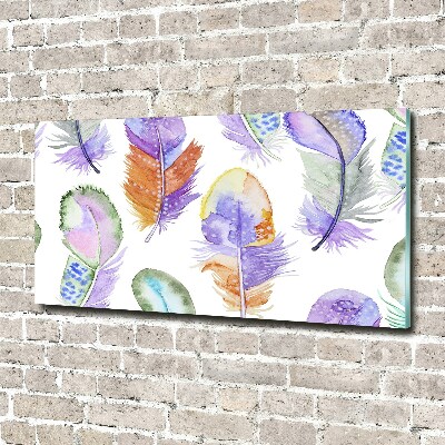 Quadro vetro Piume colorate