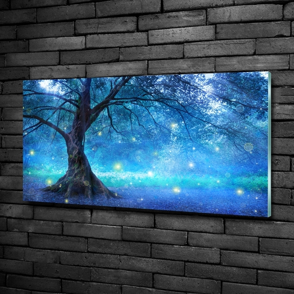Quadro su vetro Foresta misteriosa