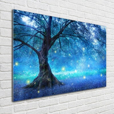 Quadro su vetro Foresta misteriosa