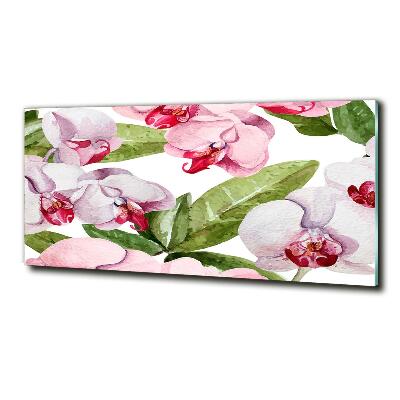 Quadro in verde Orchidee rosa
