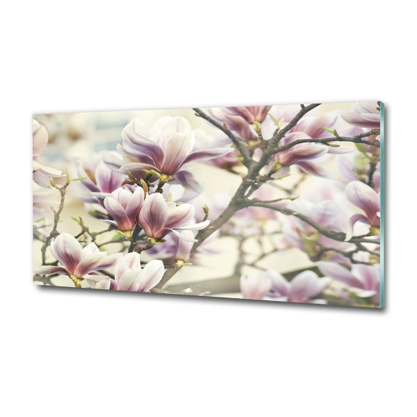 Quadro vetro Magnolia