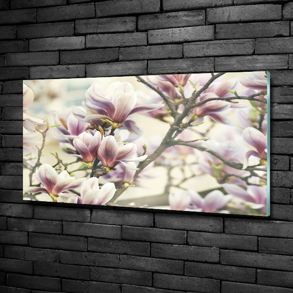 Quadro vetro Magnolia