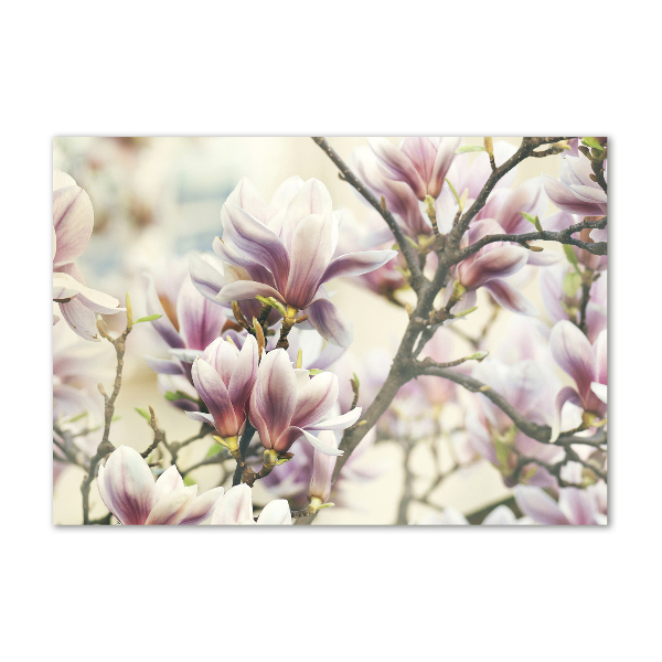 Quadro vetro Magnolia