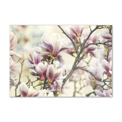 Quadro vetro Magnolia