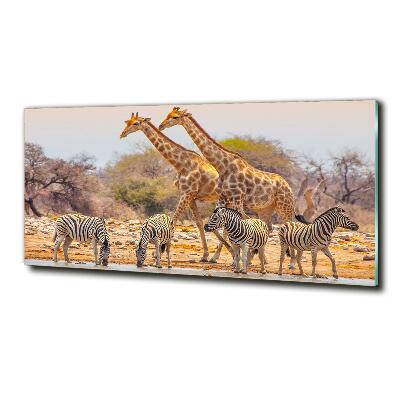 Quadro in verde Giraffe e zebre