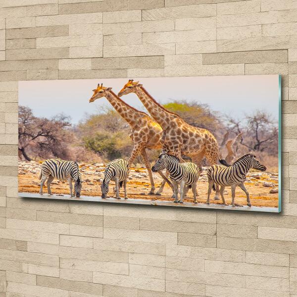 Quadro in verde Giraffe e zebre
