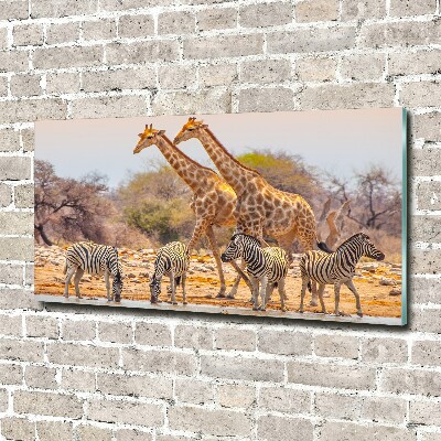 Quadro in verde Giraffe e zebre