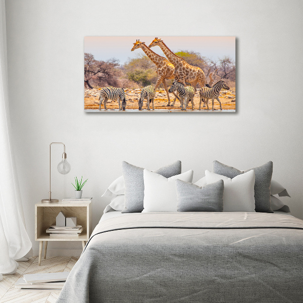 Quadro in verde Giraffe e zebre
