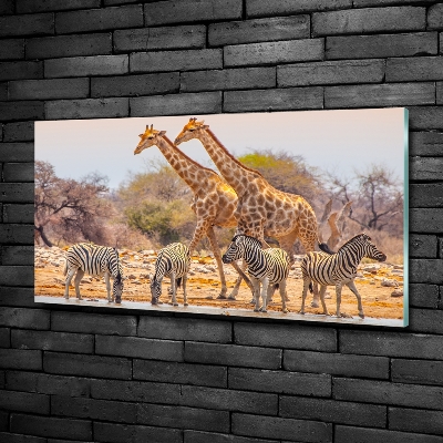 Quadro in verde Giraffe e zebre