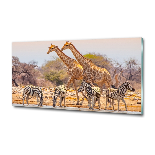 Quadro in verde Giraffe e zebre