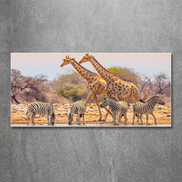 Quadro in verde Giraffe e zebre