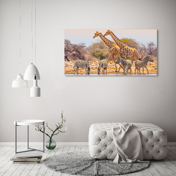 Quadro in verde Giraffe e zebre