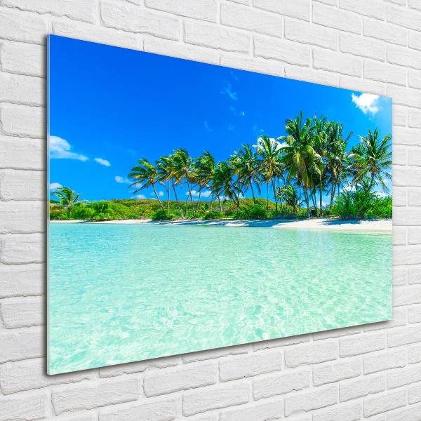 Quadro vetro Spiaggia tropicale