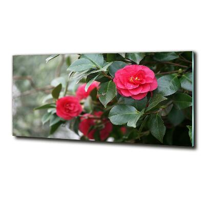 Quadro su vetro Camelia