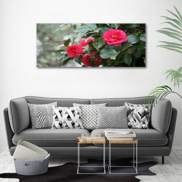 Quadro su vetro Camelia