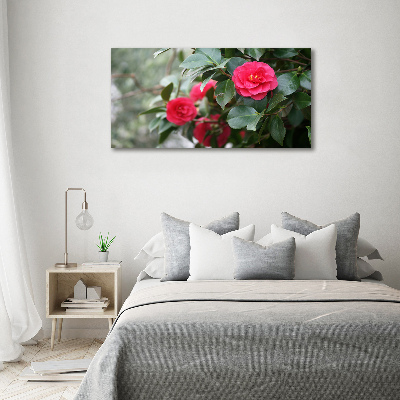 Quadro su vetro Camelia