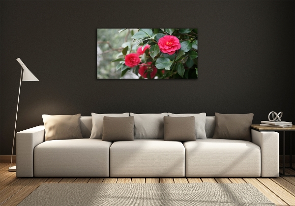Quadro su vetro Camelia