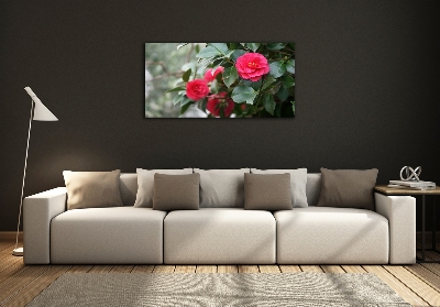 Quadro su vetro Camelia