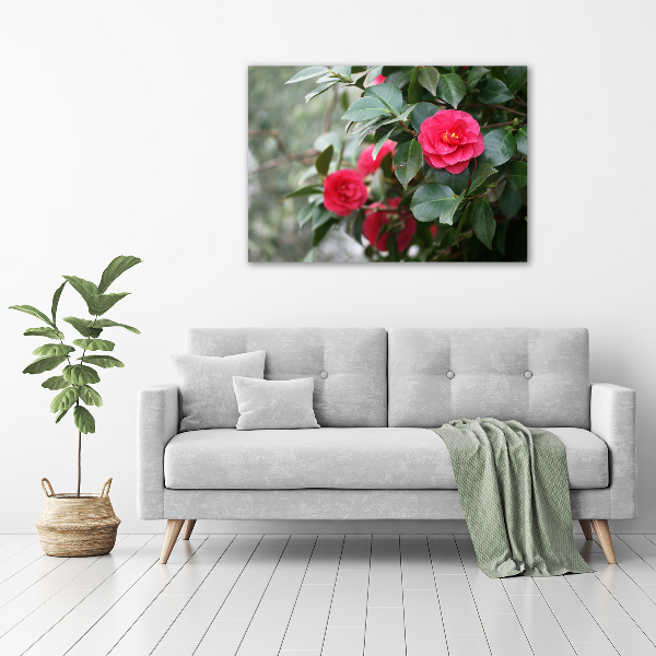 Quadro su vetro Camelia