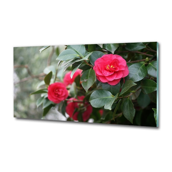 Quadro su vetro Camelia