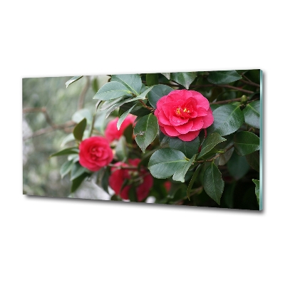 Quadro su vetro Camelia