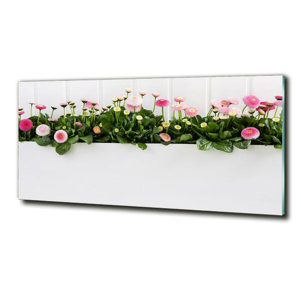 Quadro vetro Margherite rosa