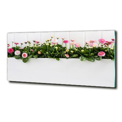 Quadro vetro Margherite rosa