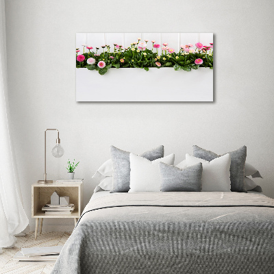 Quadro vetro Margherite rosa
