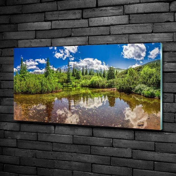 Quadro vetro Lago nella foresta