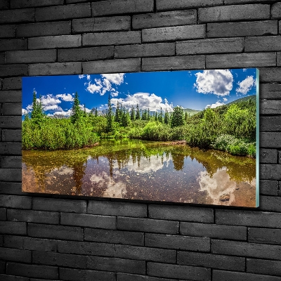 Quadro vetro Lago nella foresta