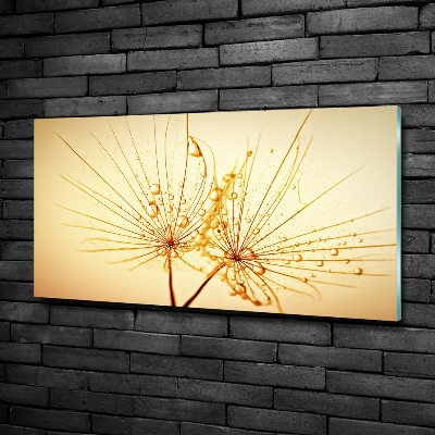 Quadro su vetro Semi di tarassaco