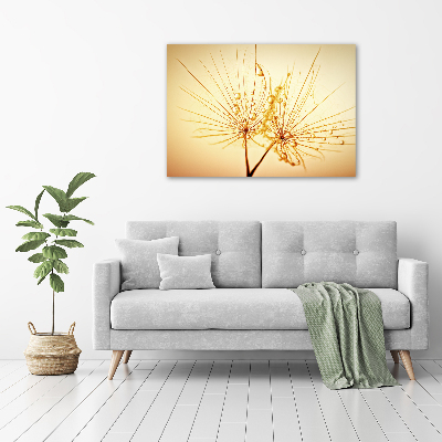 Quadro su vetro Semi di tarassaco