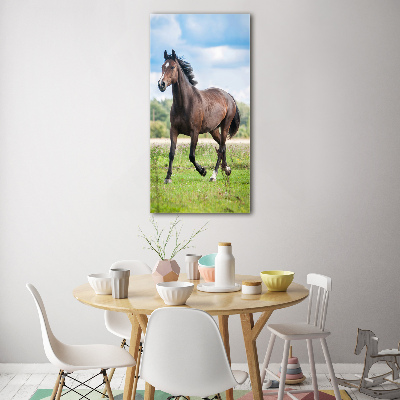 Quadro di vetro verticale Un cavallo in un campo