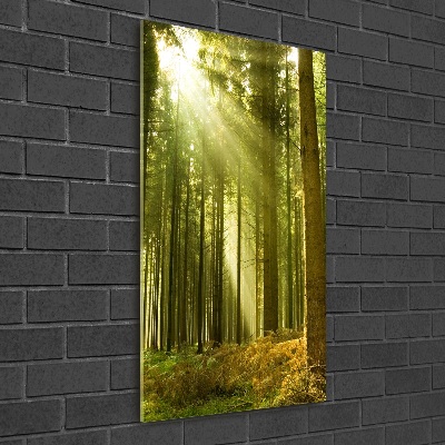 Quadro stampa su vetro verticale Il sole nella foresta