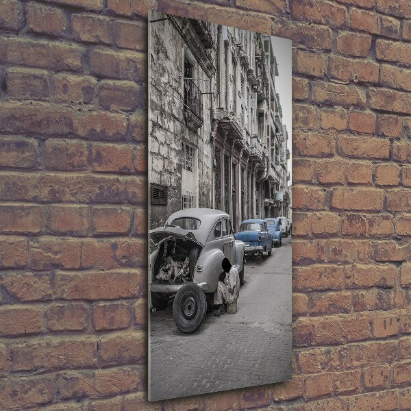 Quadro stampa su vetro verticale Lada