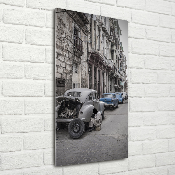 Quadro stampa su vetro verticale Lada